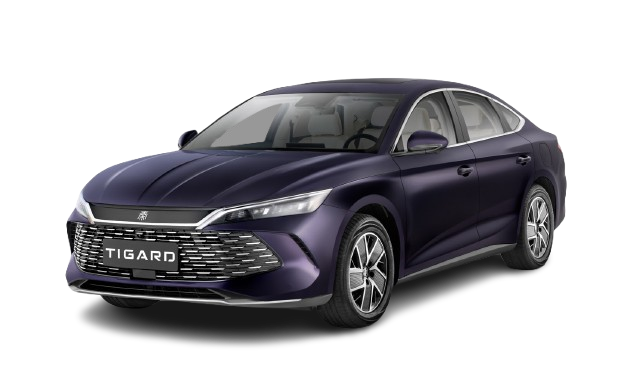 BYD-QIN-L-