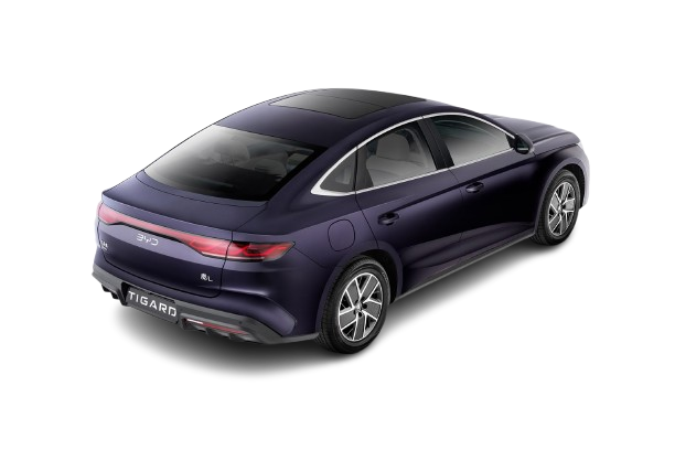 TIGARD BYD QIN L (2)